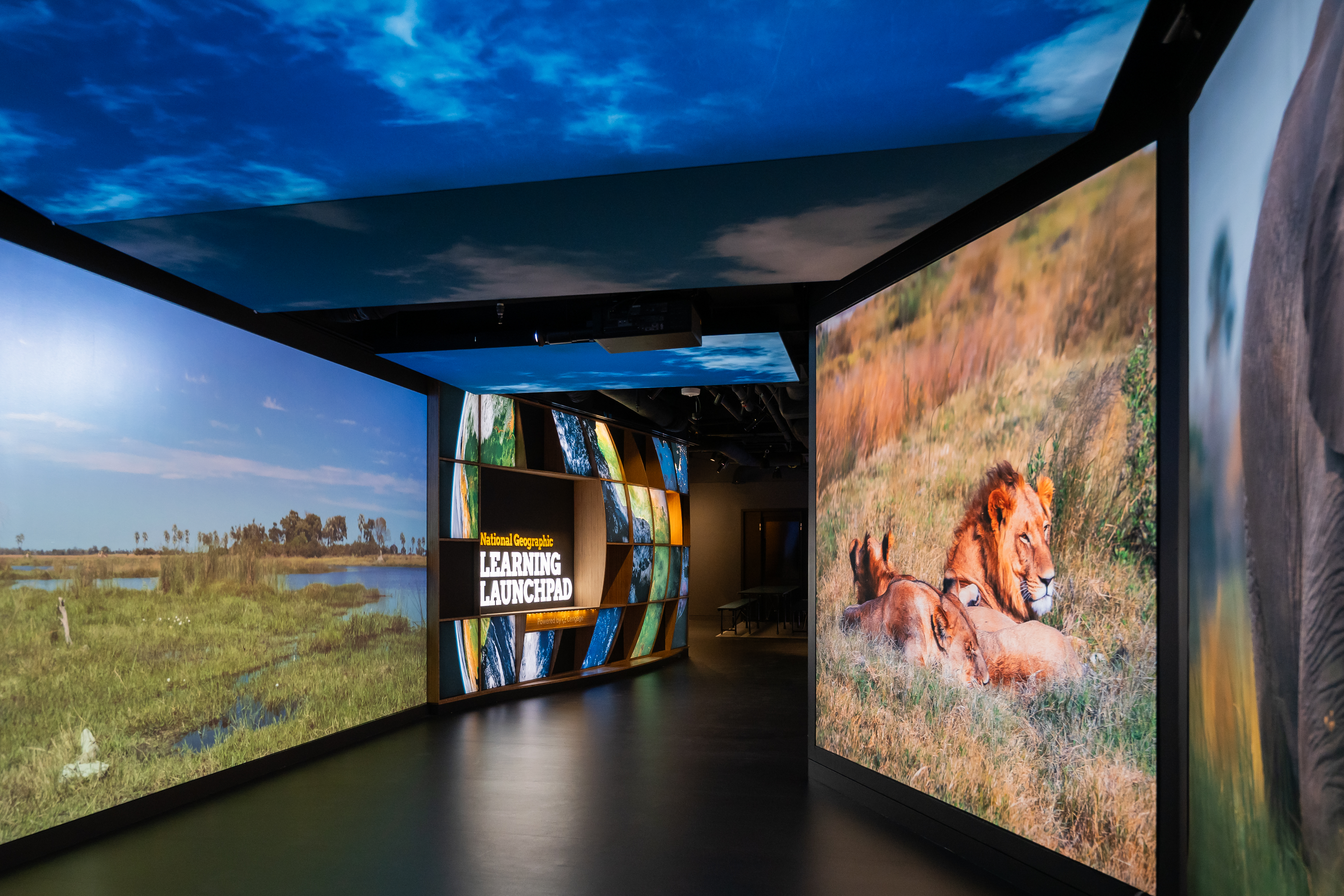 Exhibitions & Experiences | National Geographic Museum